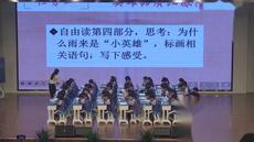 （43:25）19《小英雄雨来》部编版语文四下，小学语文新课标学习任务群优质课评比活动