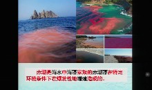 第二单元 多彩的生物世界_第一章 生物圈中的绿色植物_第一节 绿色植物的主要类群_李老师_第一课时