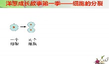 第一单元 我们身边的生命世界_第二章 生物体的结构层次_第一节 细胞_刘老师_第一课时_特等奖