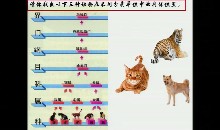 第7单元 生命的演化_第22章 物种的多样性_第1节 生物的分类_池老师_第一课时_特等奖