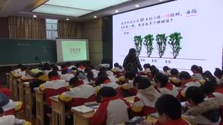 六、整理与提高_数学广场——植树问题_张老师_第一课时