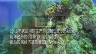 第三节 海洋权益与我国海洋发展战略_逯老师_第一课时