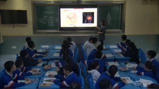 第五单元 生物圈中的其他生物 5.2.1 动物的运动_第一课时_伍老师_三等奖