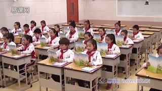 Unit 1 School Life_Lesson 1 We have Chinese._王老师_第一课时