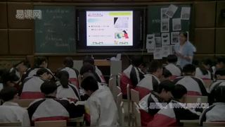 第13章 化学与社会生活_第二节 化学合成材料_刘老师_第一课时_二等奖