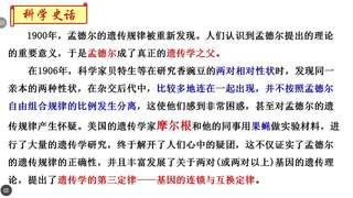 第2章 基因和染色体的关系 基因连锁与互换定律_第一课时_朱老师_三等奖