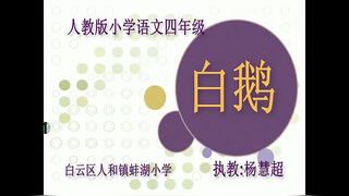 《13　白鹅》广东省—省级优课