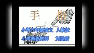 《5＊　手指》新疆—省级优课