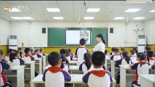 大青树下的小学