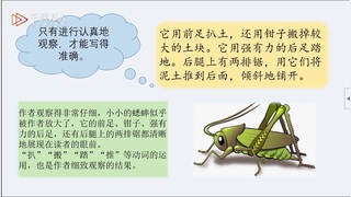 【习作指导】：《写观察日记》（四）