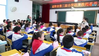 《桥》一等奖教学视频-益阳市小学语文素养大赛