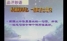 《七颗钻石》视频课堂教学实录2