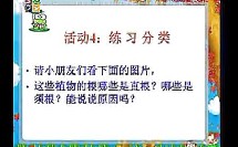 2011年嘉兴年会小学科学优质课视频 植物的根