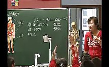 2011年嘉兴年会小学科学优质课视频 骨骼、关节和肌肉