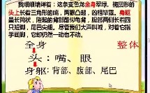 微课_五年级_语文_观察，让习作灵动——《变色龙》写法迁移指导