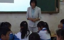 小学科学_苏教2001课标版_3　叶和花11