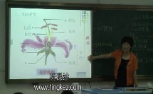 浙江省初中科学优质课 生生不息的植物 教学视频