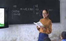 爬山虎的脚（小学语文_鲁教2001课标版_三年级下册）