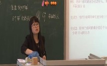 人教B版高中数学选修2-3《隔板法的应用》（高中数学参赛获奖课例教学视频）