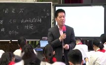 示范课《丑石》【王林波】（2018年全国小学语文名师工作室联盟年会暨统编教材教学研讨活动）